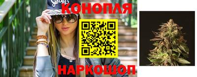 прущие крисы Будённовск
