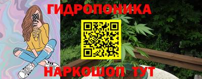 прущие крисы Будённовск
