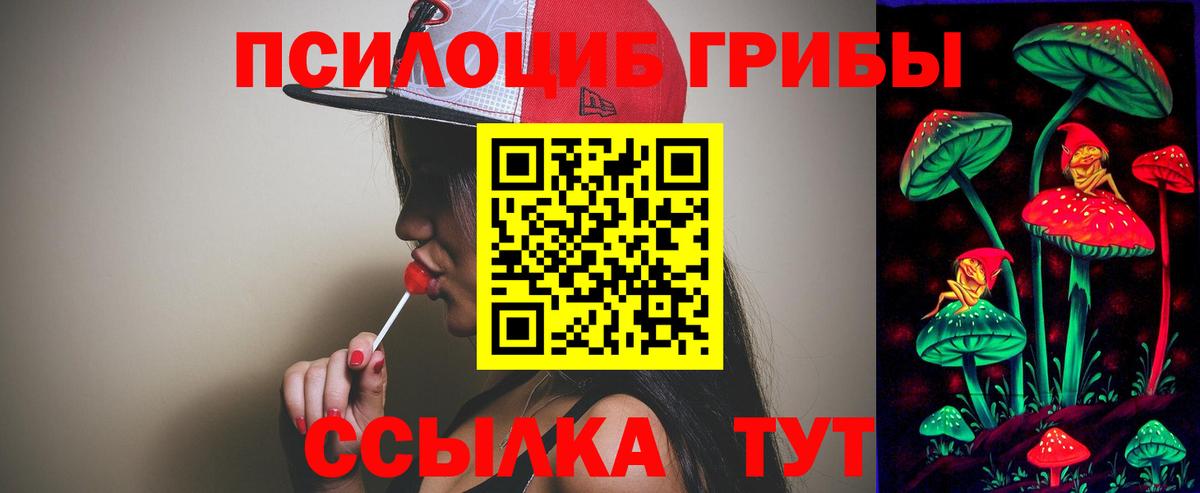 Псилоцибиновые грибы ЛСД  Вход с VPN  Карасук 